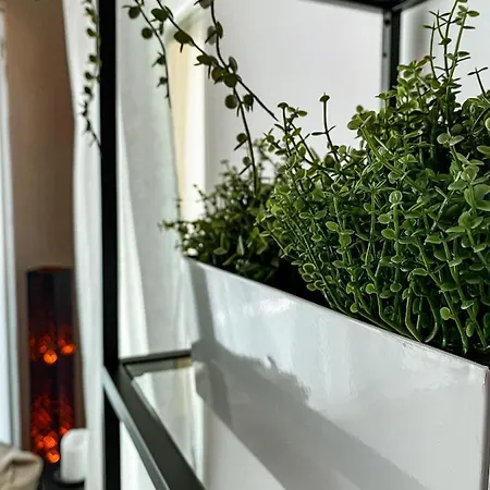 Syrah Wellness Apartman Siofok דירה שיופוק