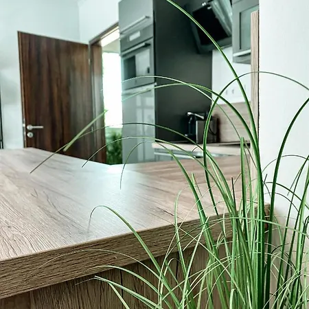 Syrah Wellness Apartman Siofok שיופוק